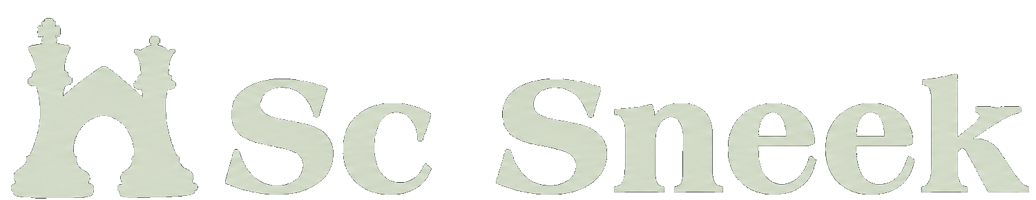 Schaakclub Sneek